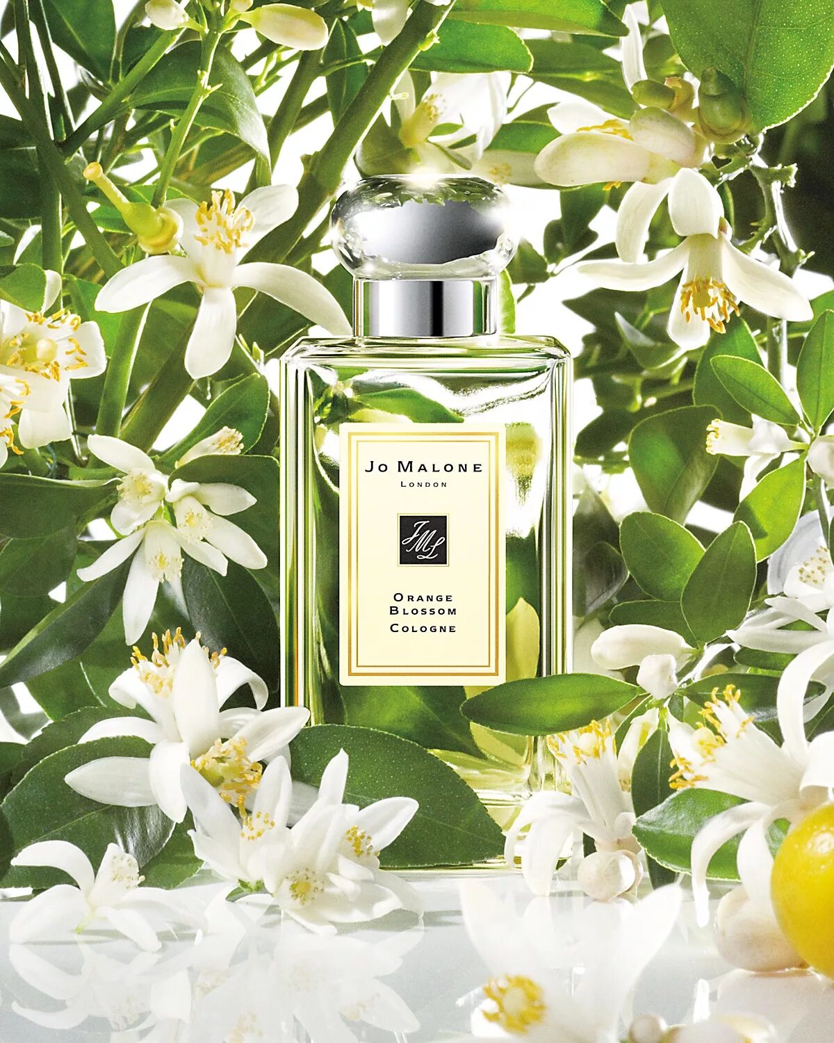 Jo Malone Orange Blossom духи. Парфюм Джо Малон Cologne. Jo Malone Orange Blossom 100 ml. Парфюм Джо Малон оранж блоссом. Аромат цветущих дней