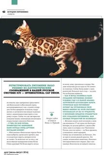 Бенгальская кошка список пород кошек