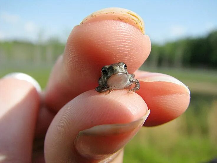 Starting with the smallest