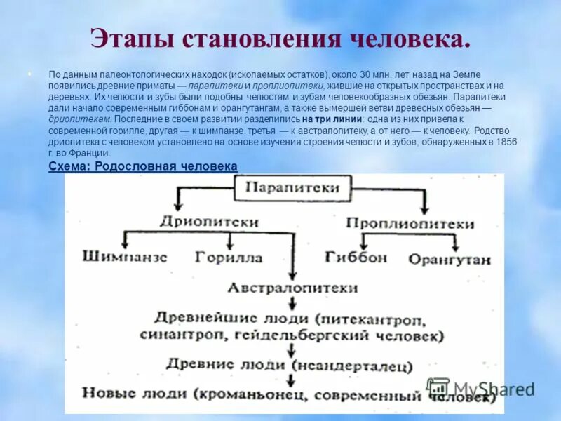 Процесс становления развития человека