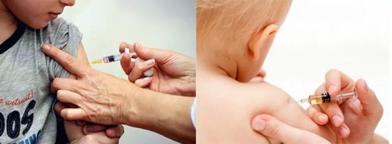 Вакцина микроген корь краснуха паротит. Прививки способ введения. Вакцинация корь краснуха паротит. Вакцина против кори детям. Вакцинопрофилактика краснухи.