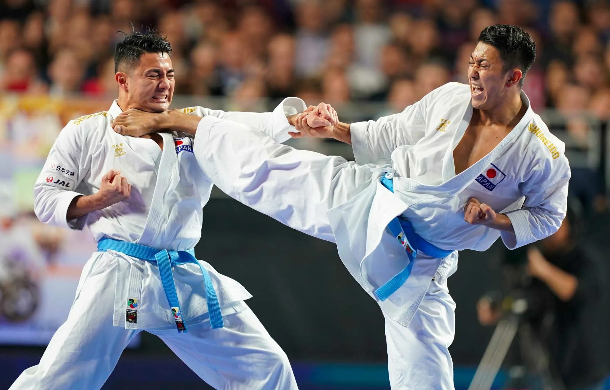 Боевое искусство монахов шаолинь. Китайцы мастера кунг фу. Дзю дзюцу япония. Имей боевые искусства. Кунг-фу боевое искусство.