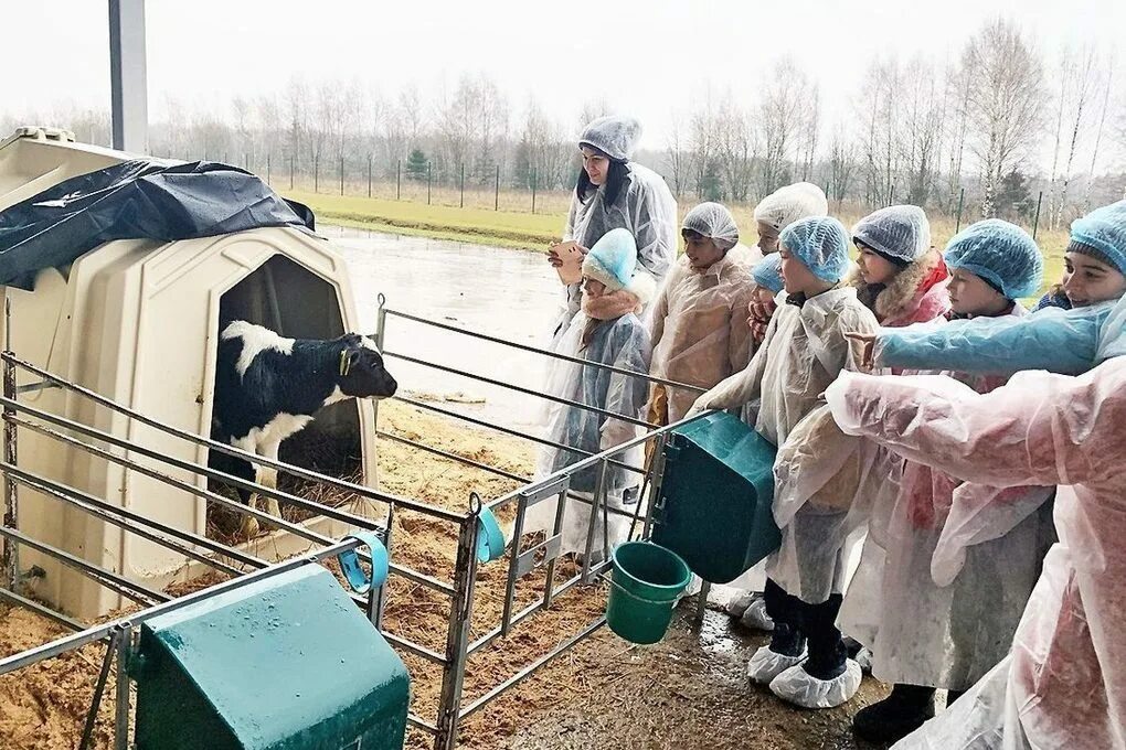 Дмитрова гора 8а. Агропромкомплектация дмитрова гора. дмитрова гора тверская область агрофирма. дмитрогорский молочный завод в конаково.