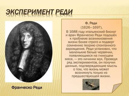 Реди