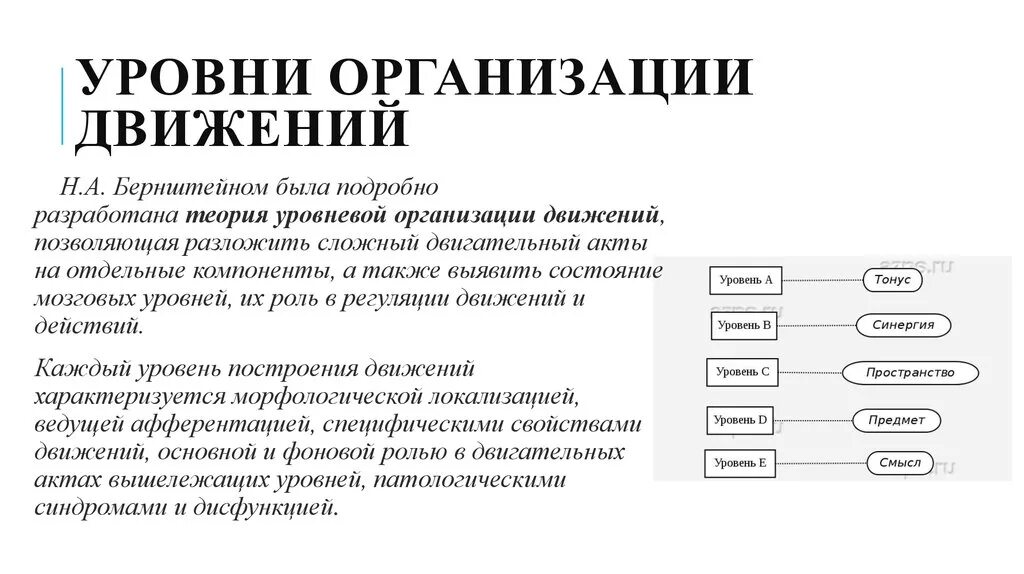 Организовать двигаться. Уровни организации движений по н.а Бернштейну. Уровни организации произвольного движения по н.а. Бернштейну. Уровни организации. Теория уровней построения движений.