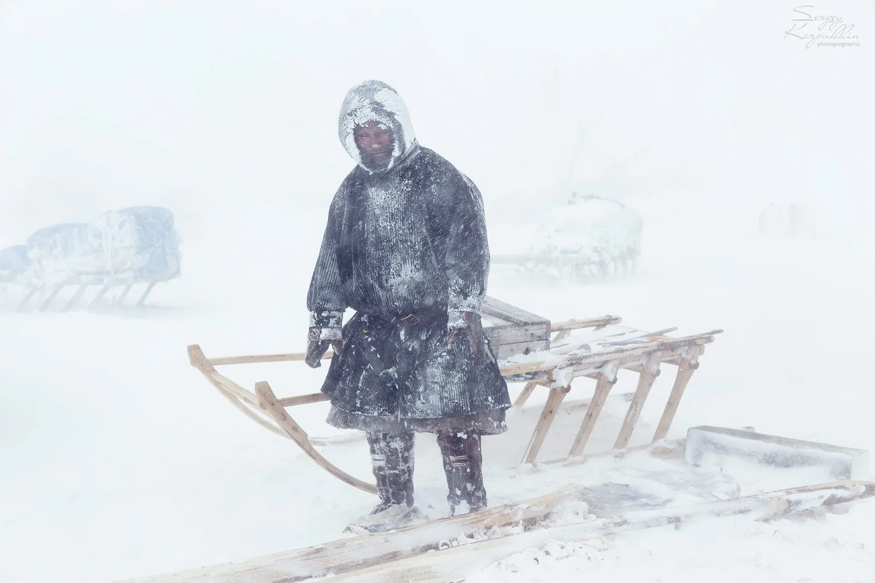 спасение тундры. почему нельзя спать на животе. почему нельзя будить спящих ненцев. спит на кровати прикол. мишка в берлоге смешной.