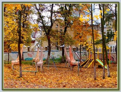 Киров координаты