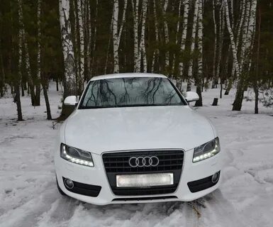 Ауди гродно