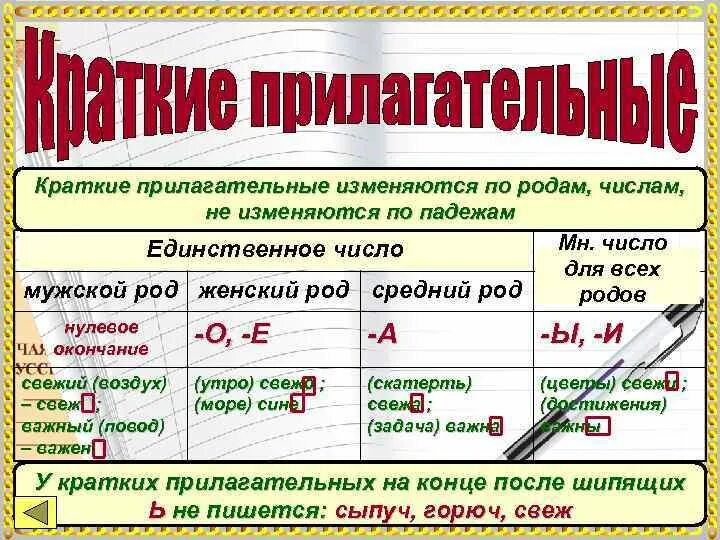 Краткая форма прилагательных. Имя прилагательное краткая форма. Краткая форма прилагательных правило. Прилагательные в краткой форме. Прилагательное употреблено в краткой форме