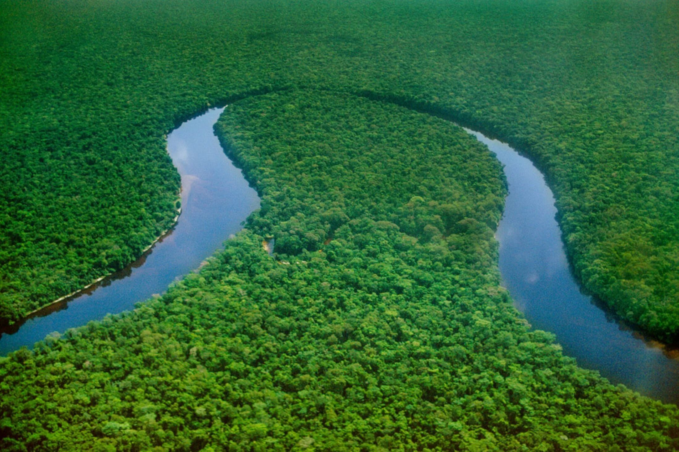 Africa river. Река Конго в Африке. Долина реки Конго. Река Конго реки Демократической Республики Конго. Конго Заир река.