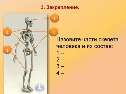 Почему кубики называют костями