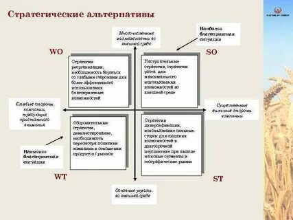 Анализ стратегических альтернатив и выбора стратегии