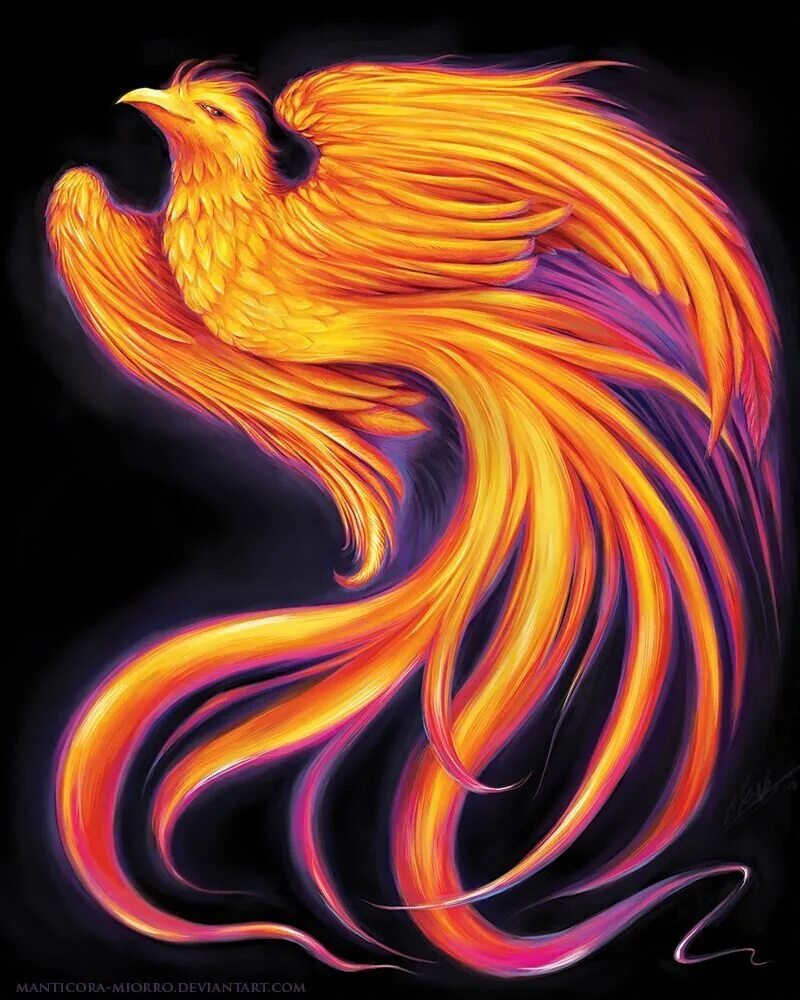 Феникс арт. Огненная птица Феникс. Огненный Феникс Дилюк. Птица Феникс мифология.