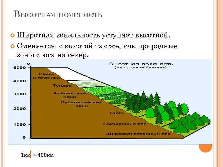 Как сменяются природные зоны