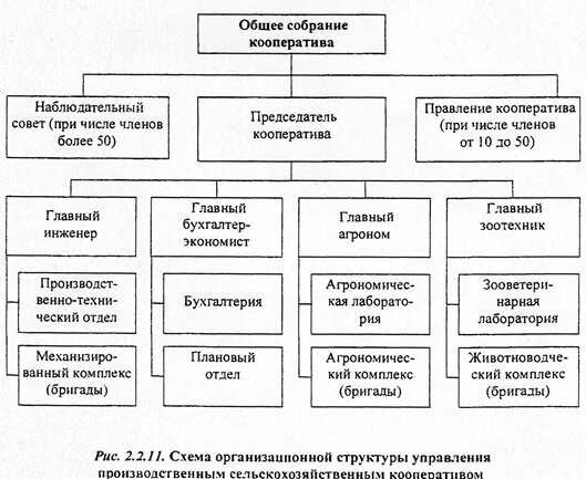 Форма собственности кооператив