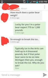 How much does a polar bear weigh? 