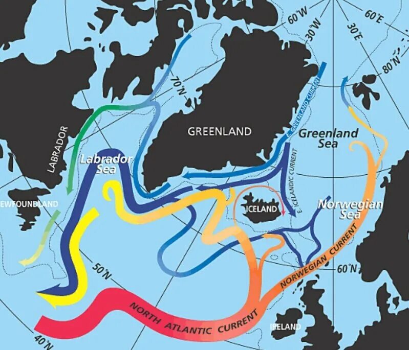 Морское течение гольфстрим. Морские течения Атлантического океана. Норвежско-атлантическое течение. Нордкапское течение. Лабрадорское море.