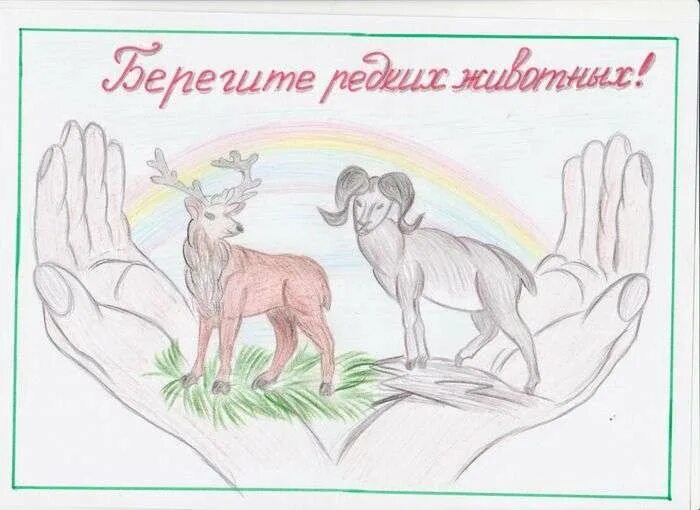 Плакат берегите животных окружающий мир. Рисунок берегите животных. плакат берегите животных. плакат охрана животных. плакат на тему защита животных.