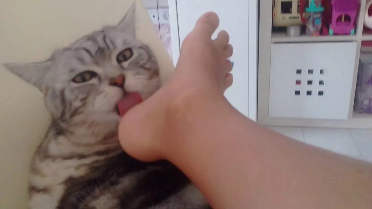 Можно ли лизнуть