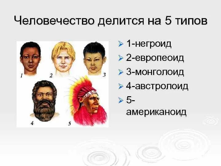 Расы людей и народы. Раса человечества Европеоид монголоид. Европеоидная монголоидная негроидная раса. Люди европеоидной и монголоидной расы. Расы Европеоиды , негроиды ,монголоиды.