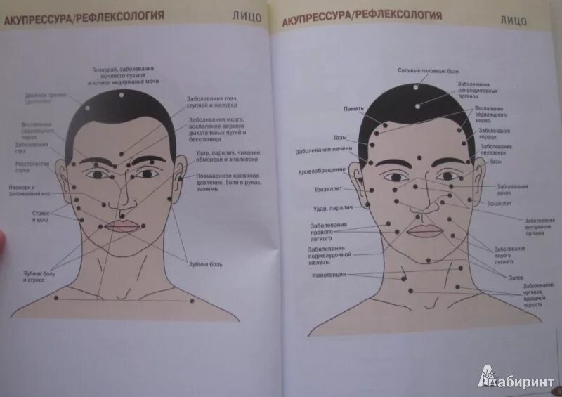 Прыщи на лбу какой орган у женщин. Карта прыщей на лице у мужчин. Зоны на лице отвечающие за внутренние органы. Проекционные зоны на лице. Акупрессура точечный массаж ,атлас.