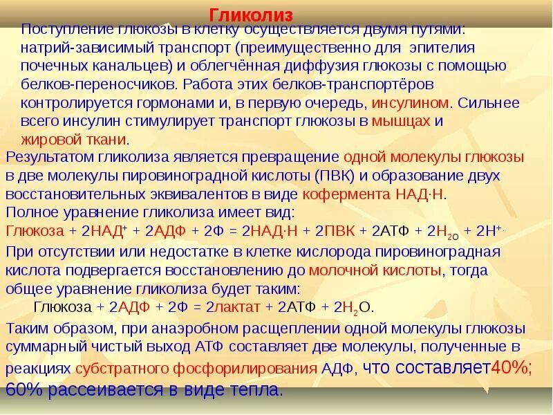 Натрий-глюкозного котранспортера 2 типа. Натрий глюкозный котранспортер 1 типа. Ингибиторы натрий-глюкозного котранспортера. Ингибиторы натрий-глюкозного котранспортера 1 и 2 типа препараты. Ингибиторы глюкозного котранспортера