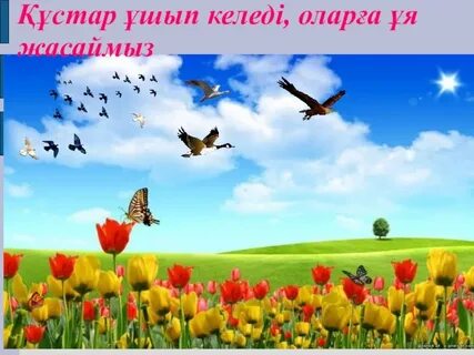 Желідегі порно видеода бойжеткен өзінің трусисын сипаттады.