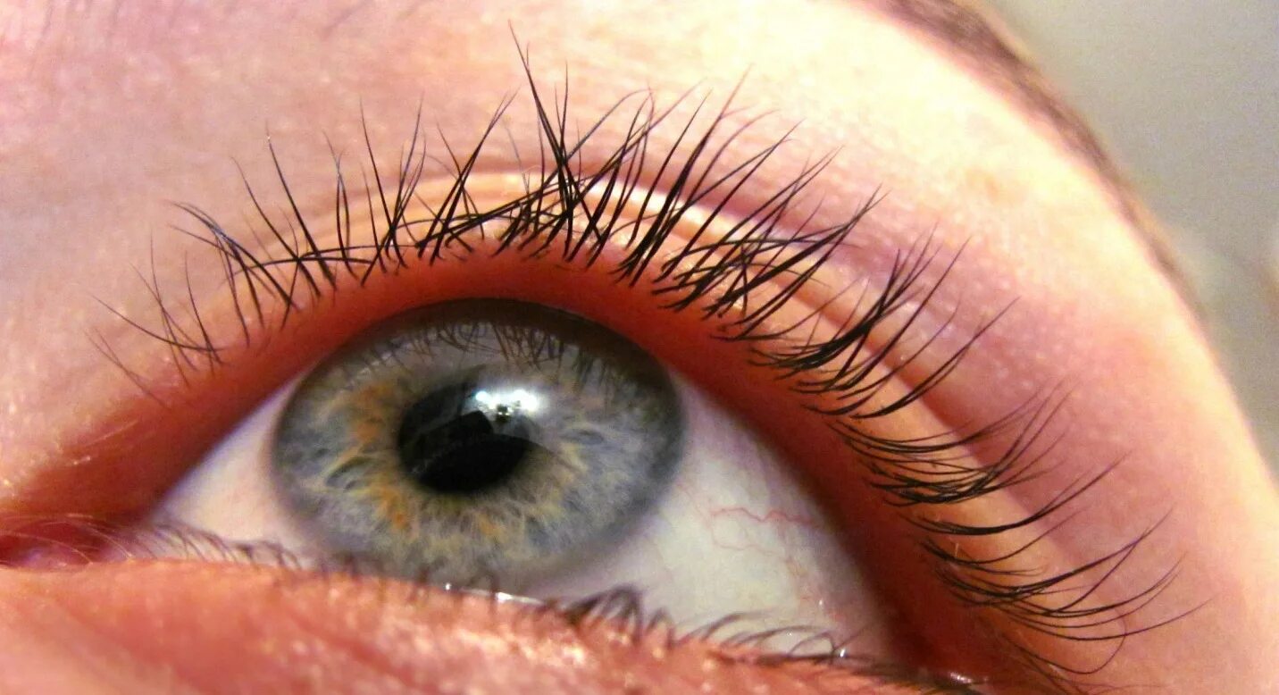 биоламинирование ресниц. ресницы после ламинирования. Lash lamination ламинирование ресниц. неудачное ламинирование. отросшие ламинирование ресниц.