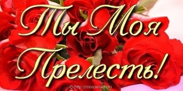 Ты красотка картинки с надписями. Ты моя прелесть. Оксаночка цветы для тебя. Люблю тебя моя красавица. Милая моя жена.
