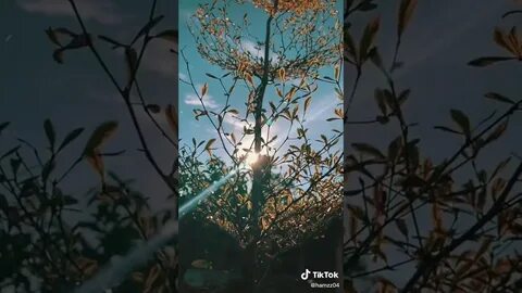 Эстетичные видео