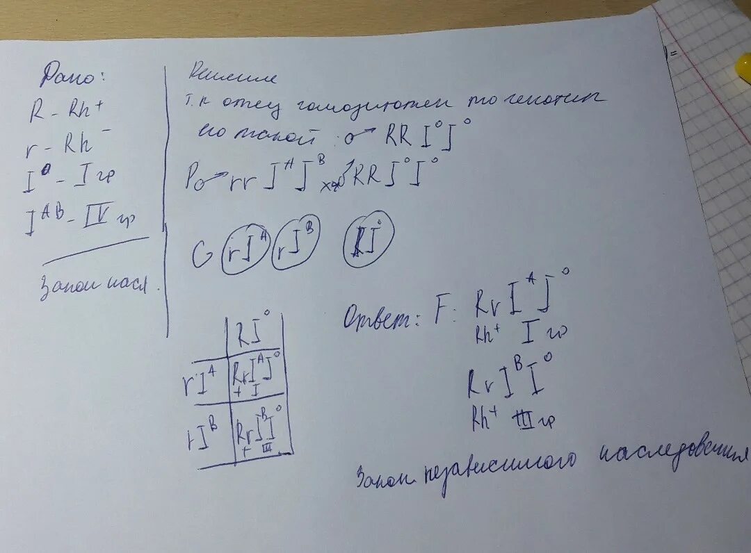 Положительный резус фактор доминантный признак. Положительный резус-фактор доминирует над отрицательным. Положительный резус-фактор r доминирует над отрицательным. Положительный ген доминирует над отрицательным?.