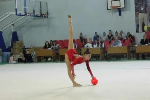 Гимнастика краевой художественный