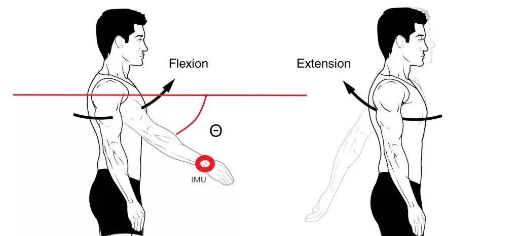 Me extension. Flexion Extension. Flexion спина. Flexion спина muscle. Extension flexion Shoulder.