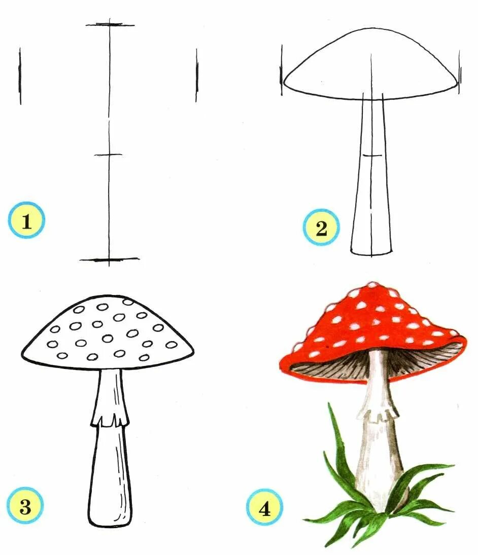 Грибы (мухомор, поганка)- для дошкольников. Рисование грибов белый гриб мухомор. Как нарисовать гриб мухомор карандашом поэтапно для детей. Нарисовать гриб мухомор карандашом. Грибы поэтапно