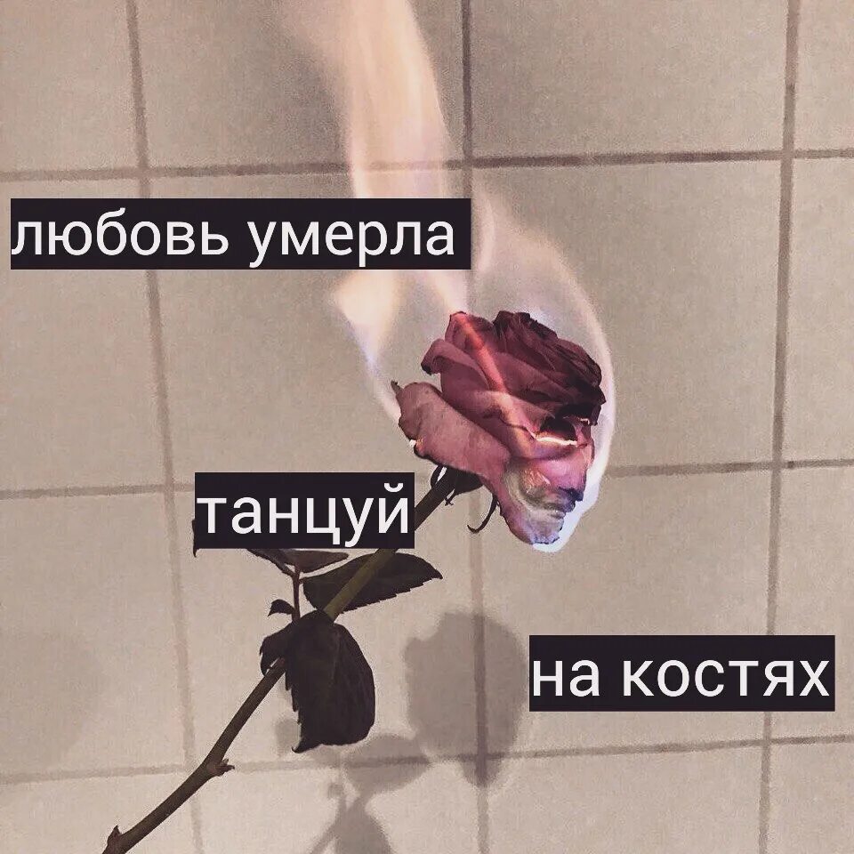 Раут на костях текст. Я танцую на костях. Танцуй на костях текст. Танцую на костях Тони.