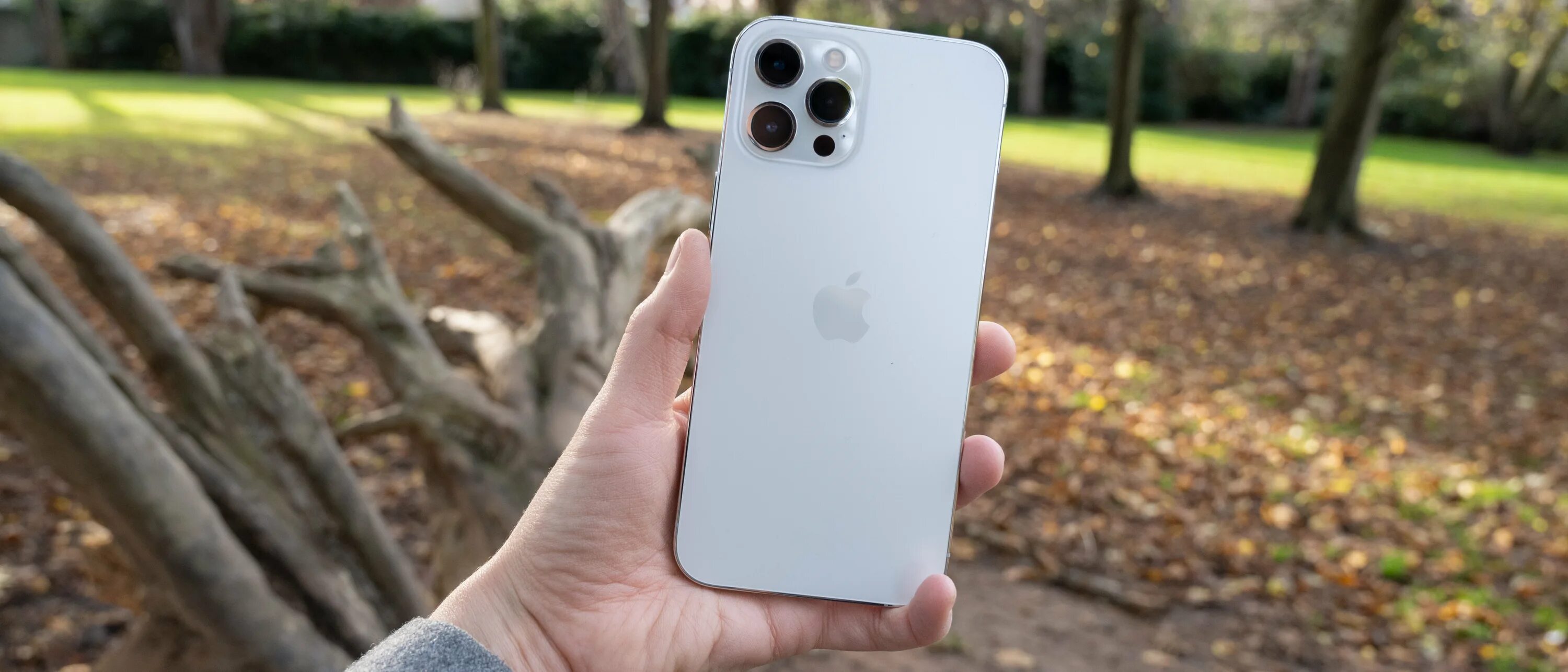 Айфон 12 про белый. Iphone 13 pro max 256. iphone 13 pro max silver. iphone 12 pro max silver. iphone 13 pro max белый.