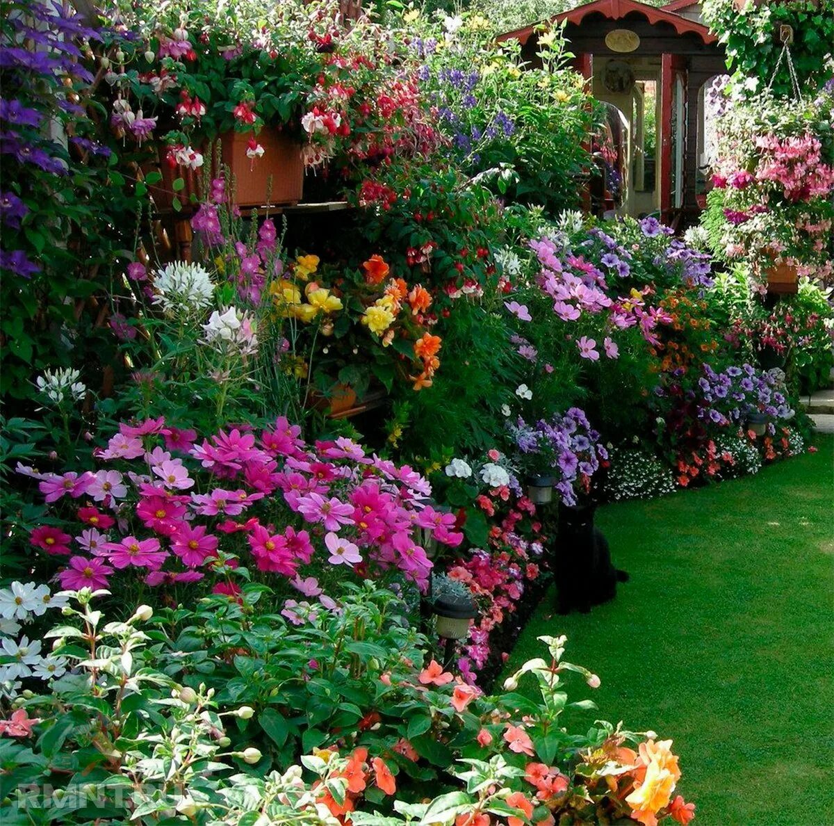 многоярусные грядки для овощей и зелени. парник в огороде. теплица на даче. зелень в огороде. вертикальное озеленение на даче.