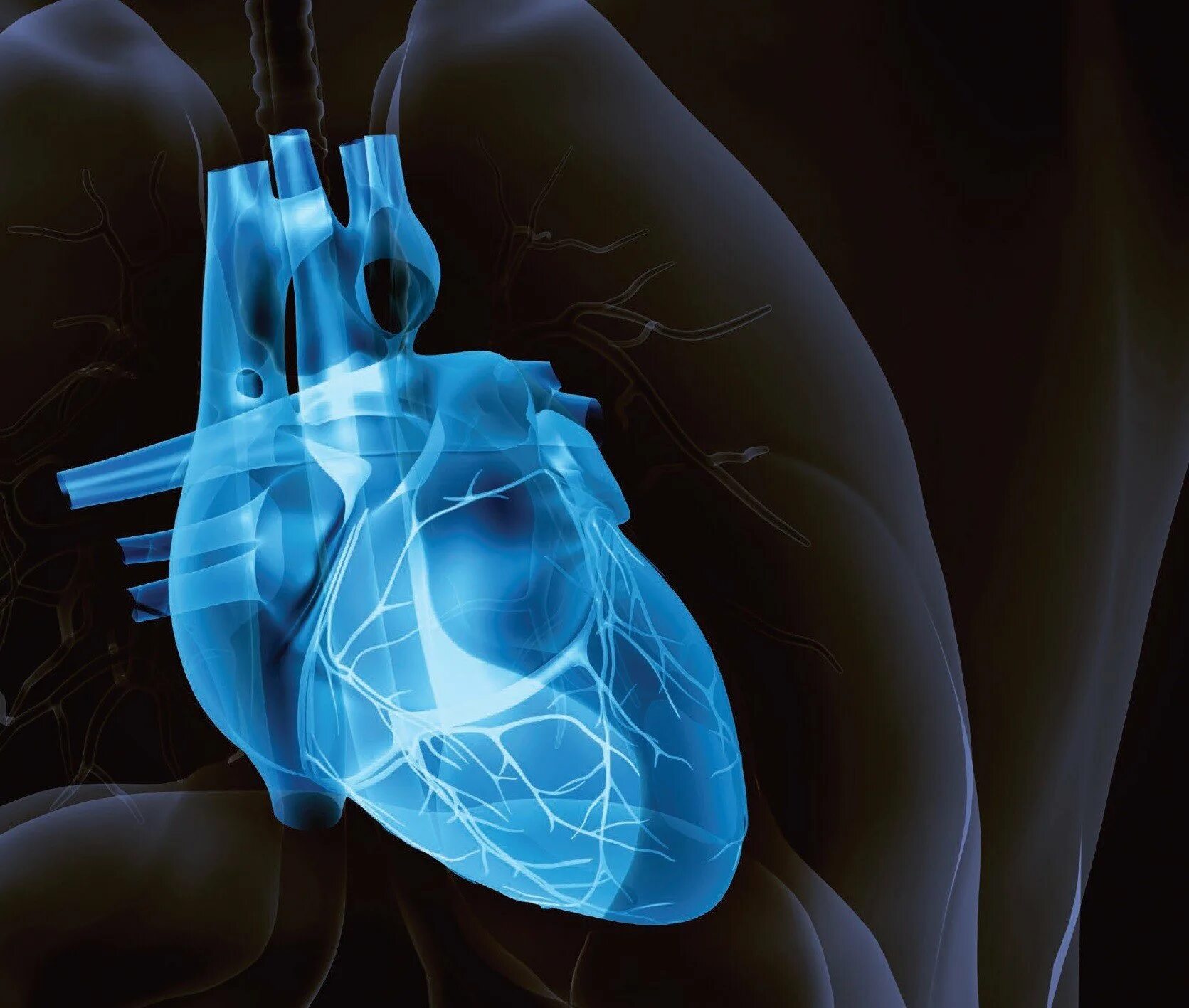 Искусственное сердце. Искусственные органы сердце. Искусственное сердце человека. Разработка искусственного сердца.
