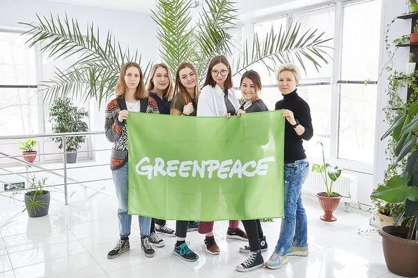 Офис Гринпис. Волонтеры Гринпис. Офис Гринпис в России. Офис Greenpeace в Москве. Волонтер вакансии москва