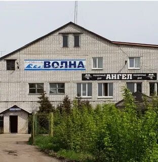 Заволжье 4