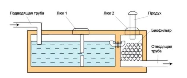 Биофильтры для очистки сточных вод схема. Схема биофильтра для пруда. Септик осина схема. Чертеж септика осина. Люк фильтр