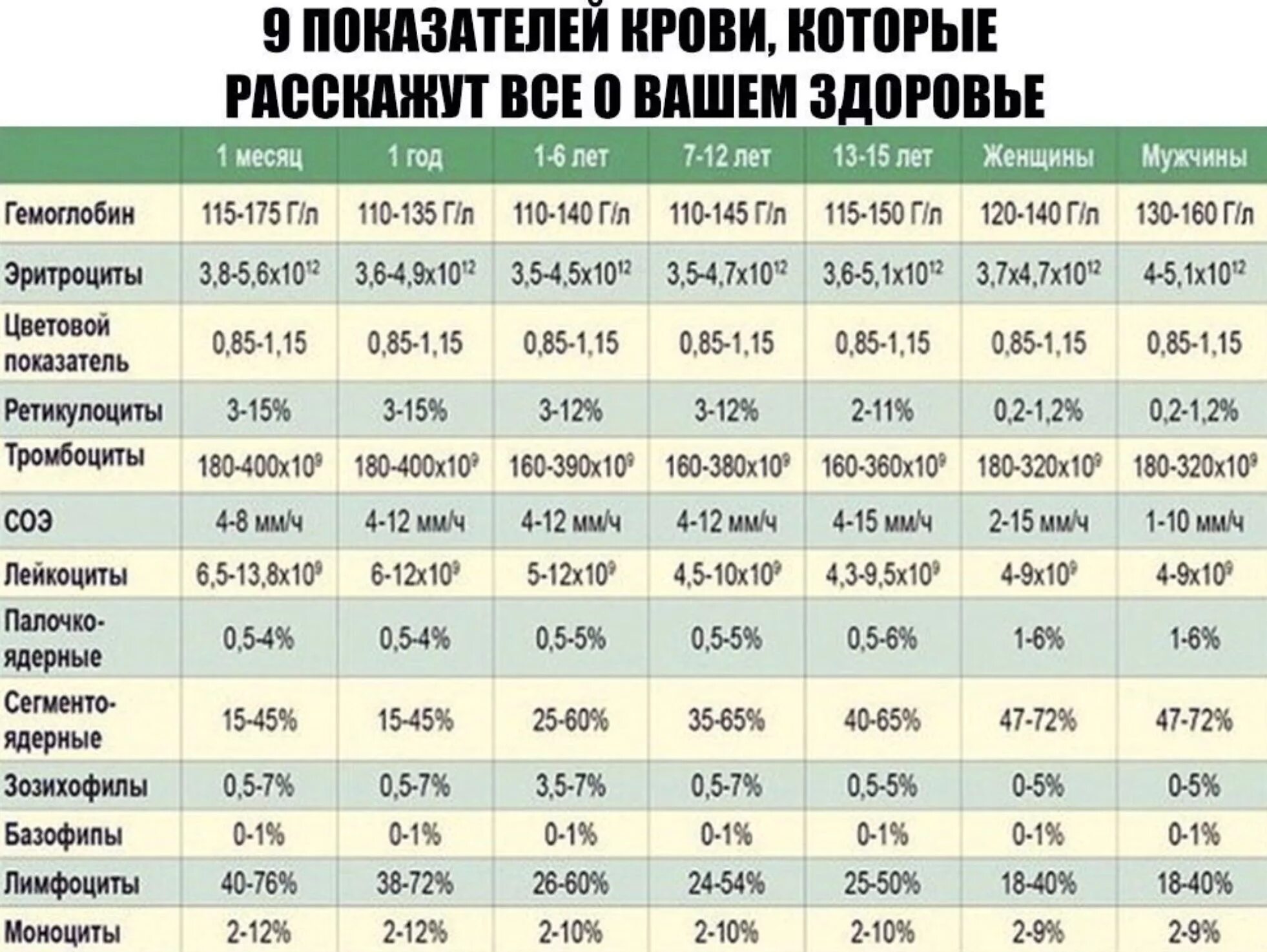 Соэ после 50. Лейкоциты в крови таблица нормы. Нормальные лейкоциты в крови у мужчин. Норма лейкоцитов в крови у женщин. Норма лейкоцитов в крови у мужчин.