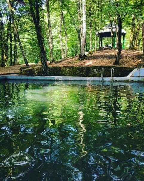 Вода холодный родник. Холодные Родники в Ставрополе в Таманском лесу. Родник Ставрополь. Ставрополь источники Таманский лес. Ставрополь лес Родник.