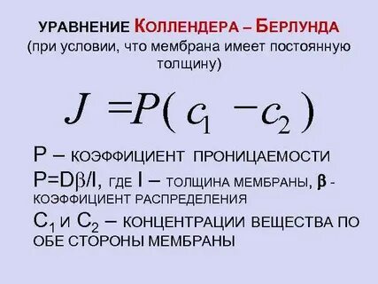 Уравнение фика