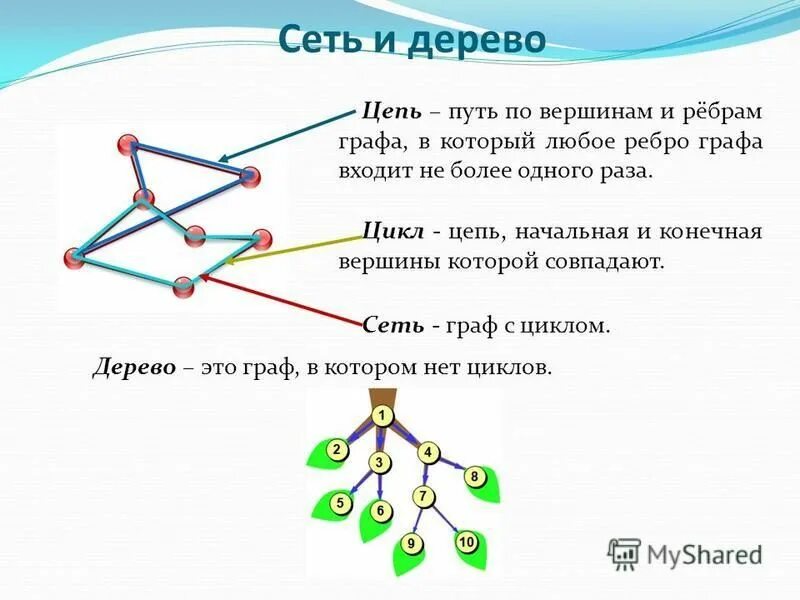 Диаметр дерева это количество ребер максимальной цепи. Сеть цепь дерево. Ребра графа. Цепи и циклы в графах.