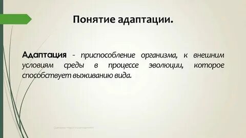 Определение и понятие адаптация