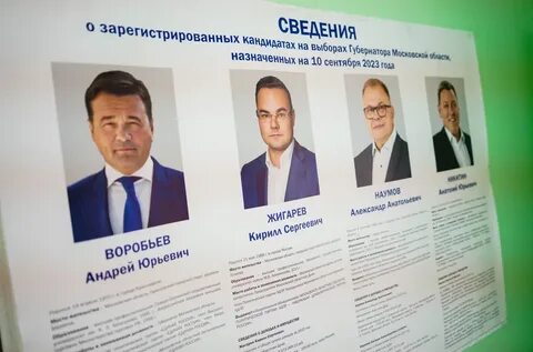 За кого голосовать отзывы в 2024 году