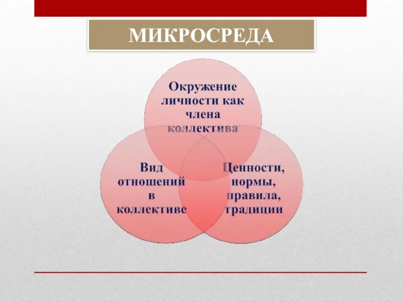 Микросреда. Микро и макро среда в психологии. Микросреда человека. Макро и микросреда развития личности в психологии.