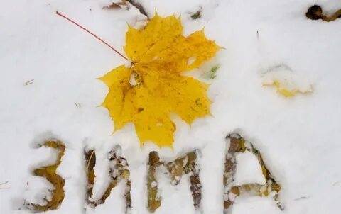 А что дальше а дальше осень