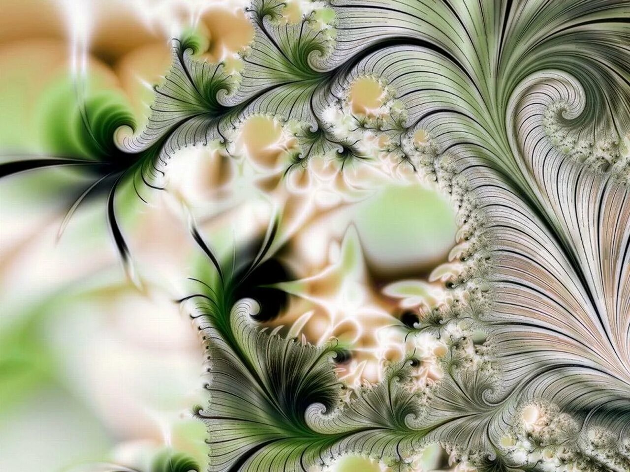 Абстрактные узоры. Красивая абстракция. Абстрактные цветы. Обои абстракция.